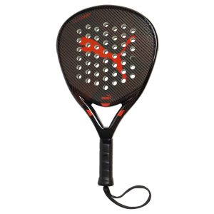 1149-PALA PUMA SOLAR COURT